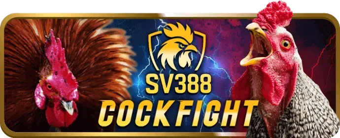Lịch sử phát triển của 88bcl nhà cái